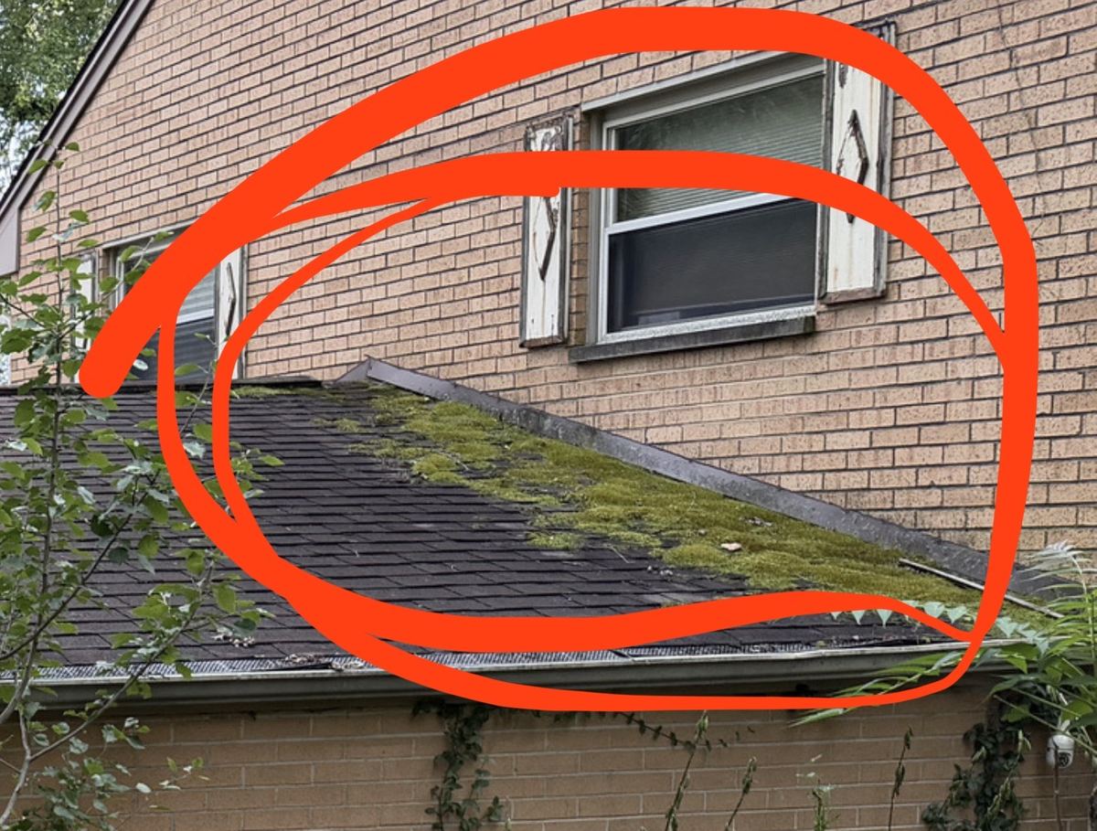 Thick green moss on the lower edge of a shaded asphalt shingle roof below a brick wall in Beavercreek, Ohio, circled in red